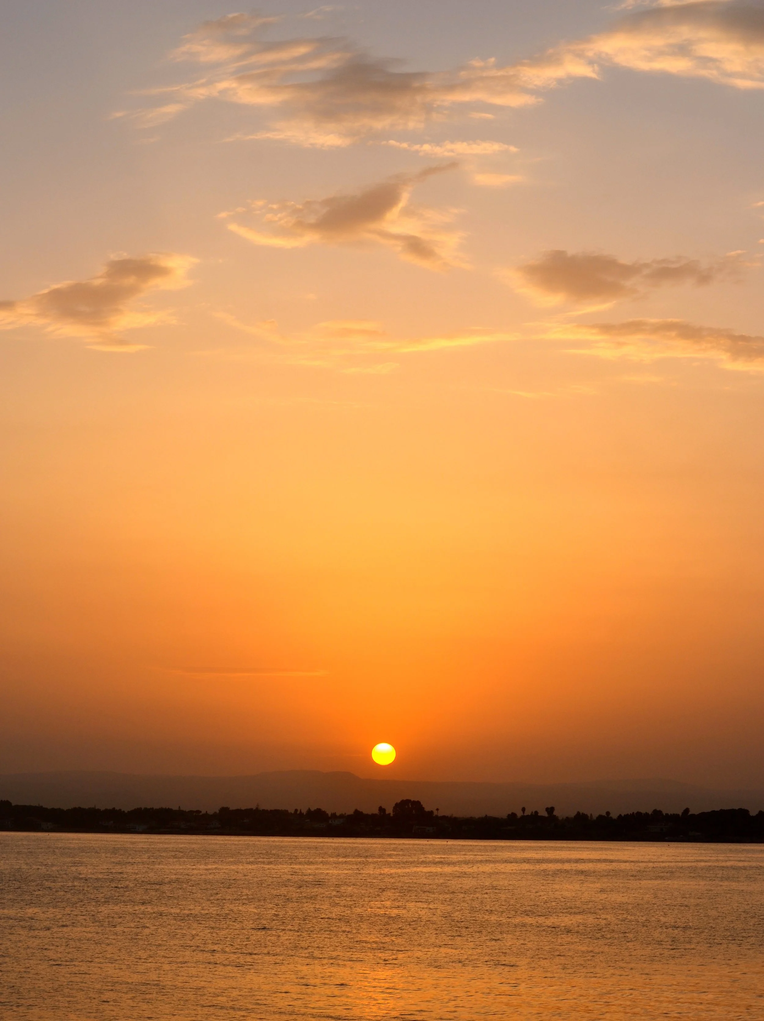 DSC_0519.jpg