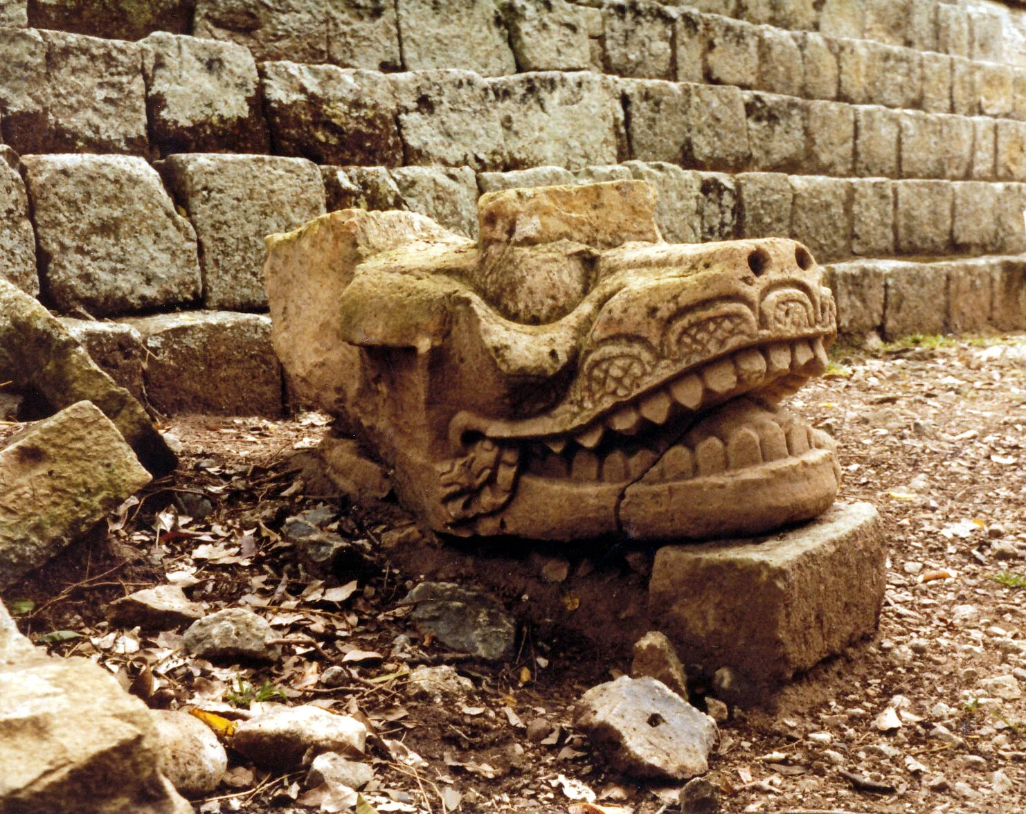 Alligator head - Copán ruins, Honduras