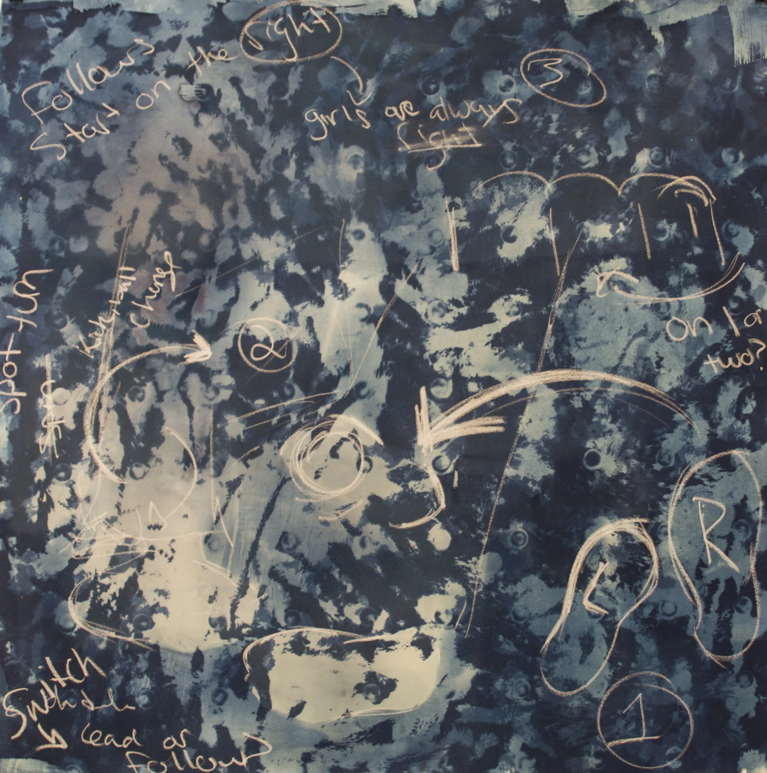 Lead or Follow | 48in x 48in | Cyanotype and Pastel | 2016