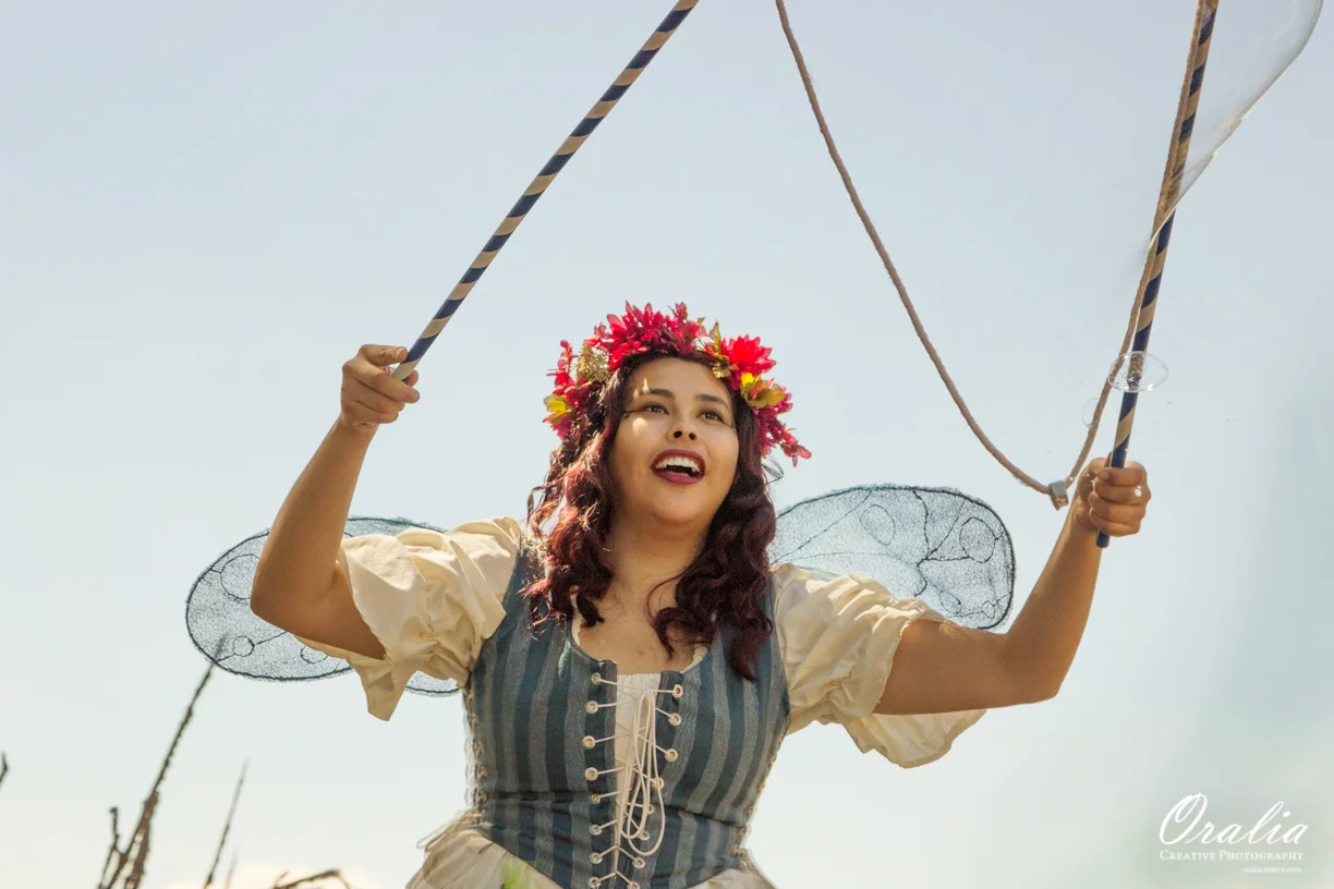 The Fairy Maiden