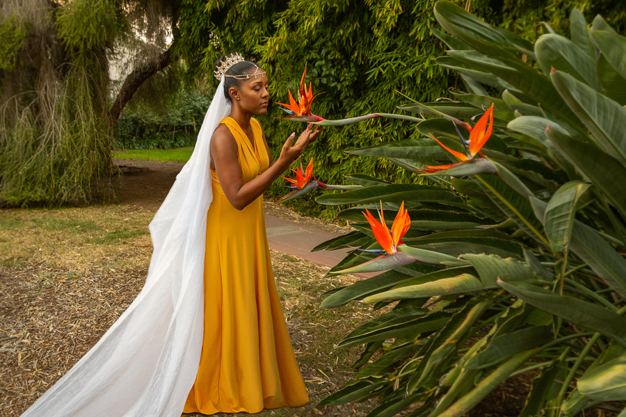 Queen of the Sun | Photo by Amanda Quintana-Bowles • Oralia Creative | Client: Laje Reine