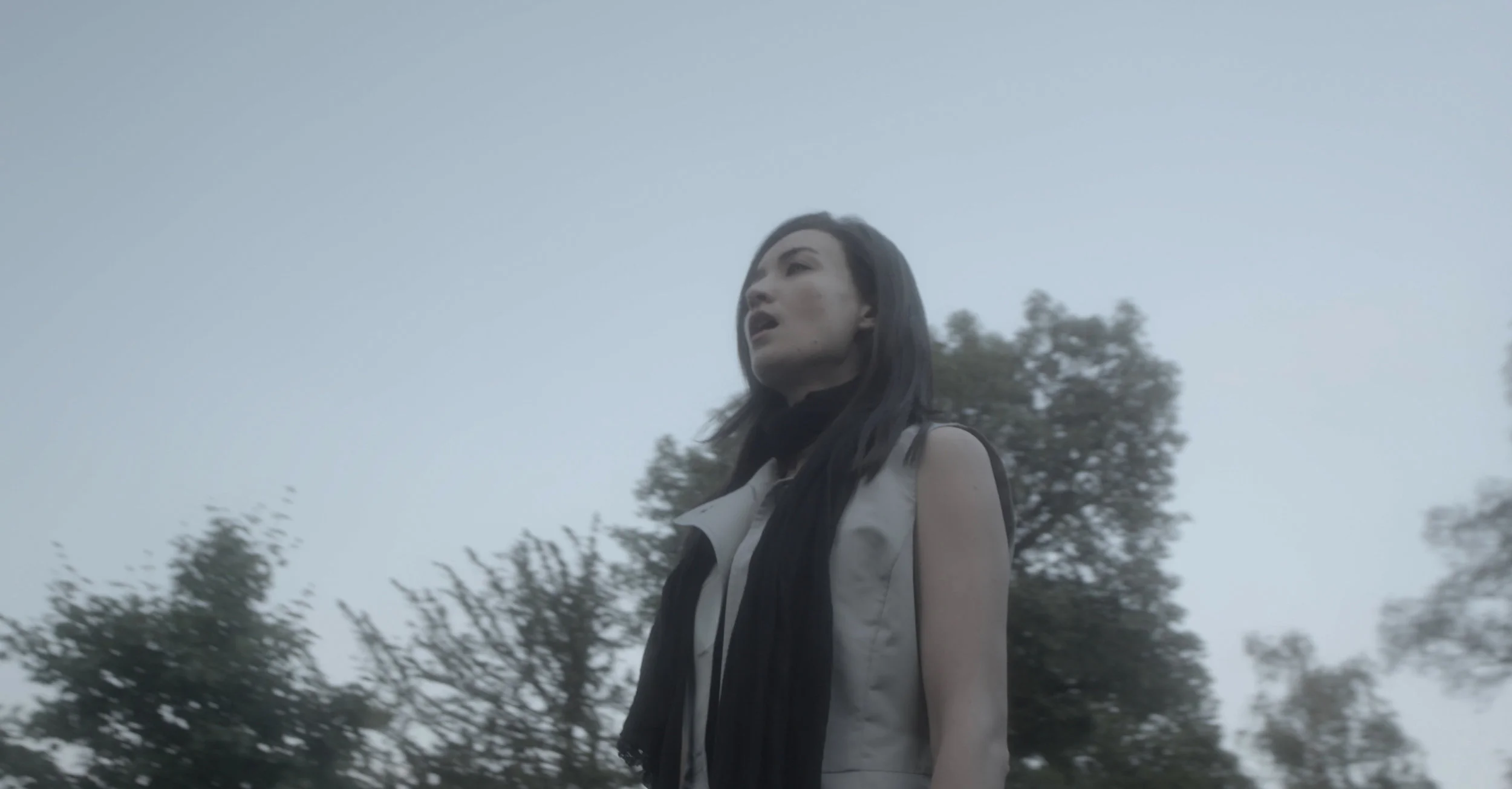 “Apocatastasis” (reggie: Shinpei Takeda) to be completed in 2020