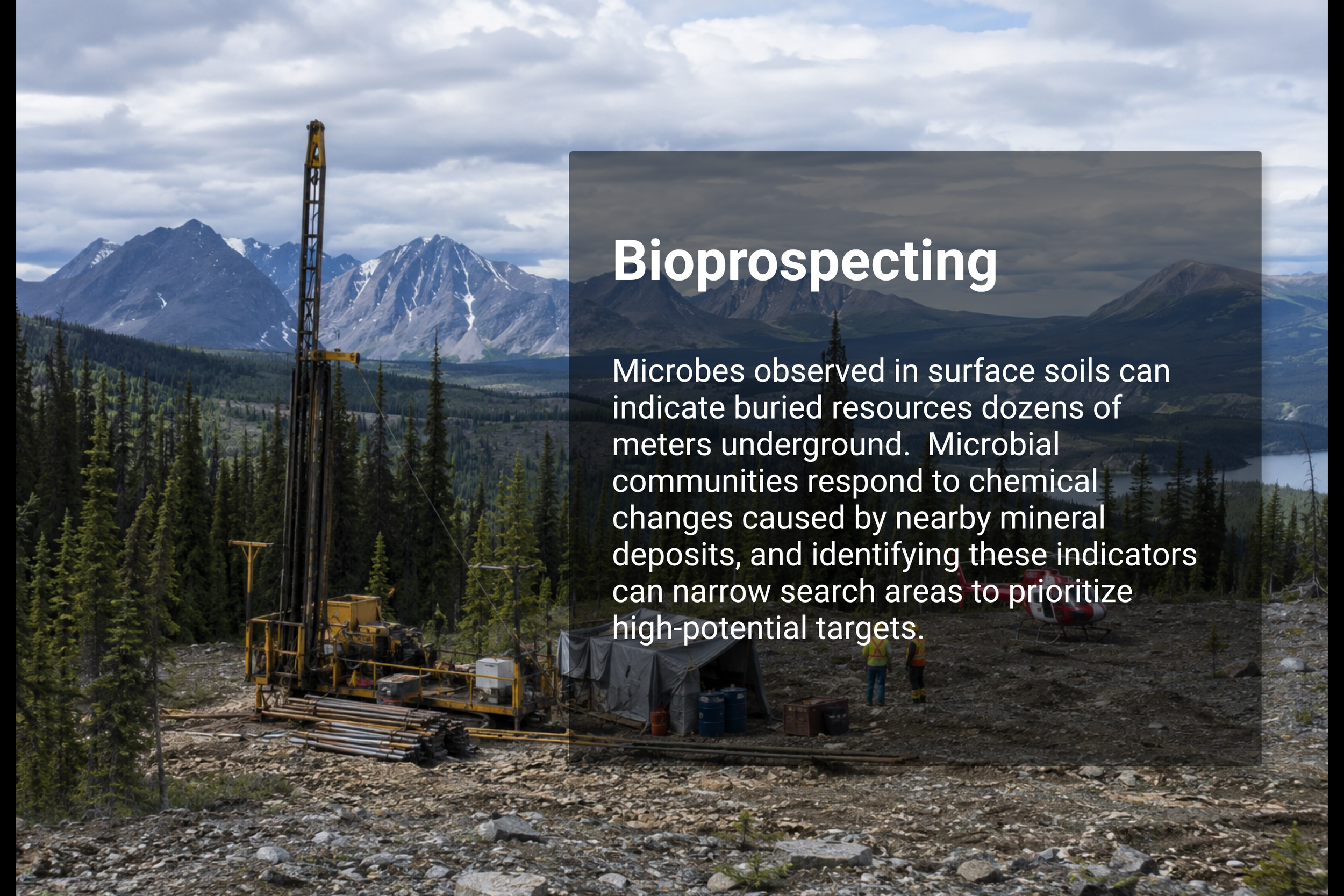 Bioprospecting