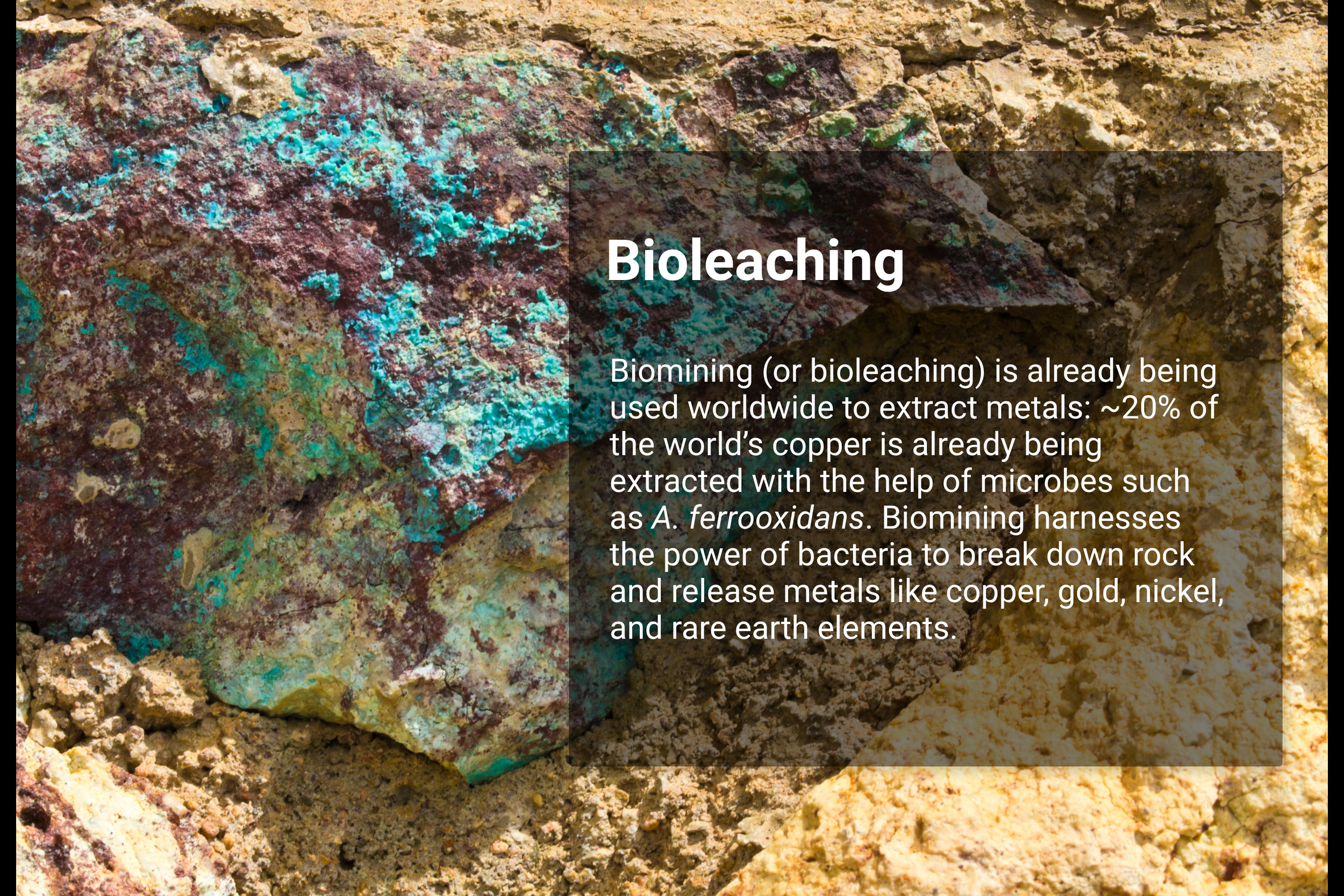 Bioleaching 