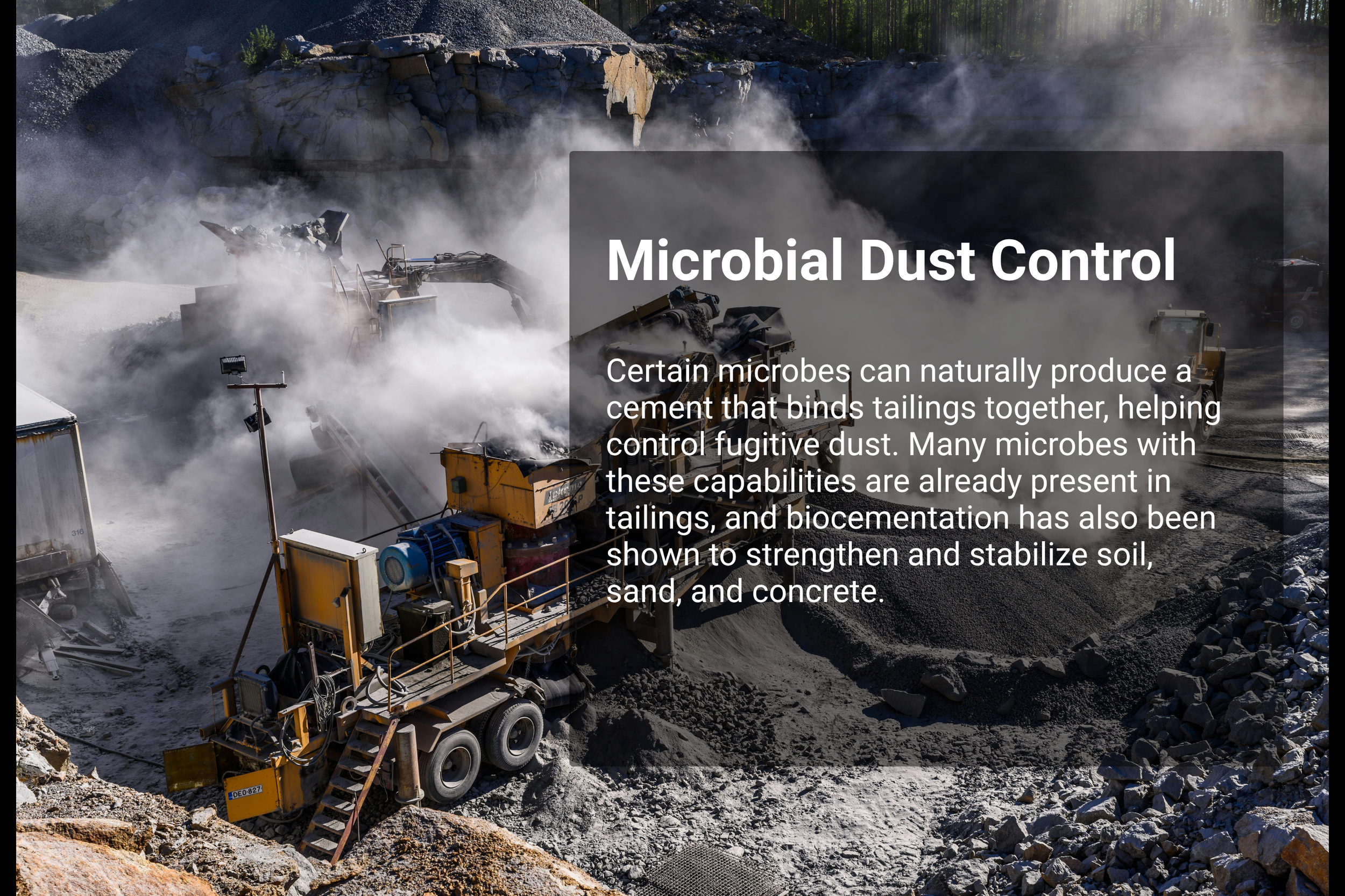 Microbial Dust Control