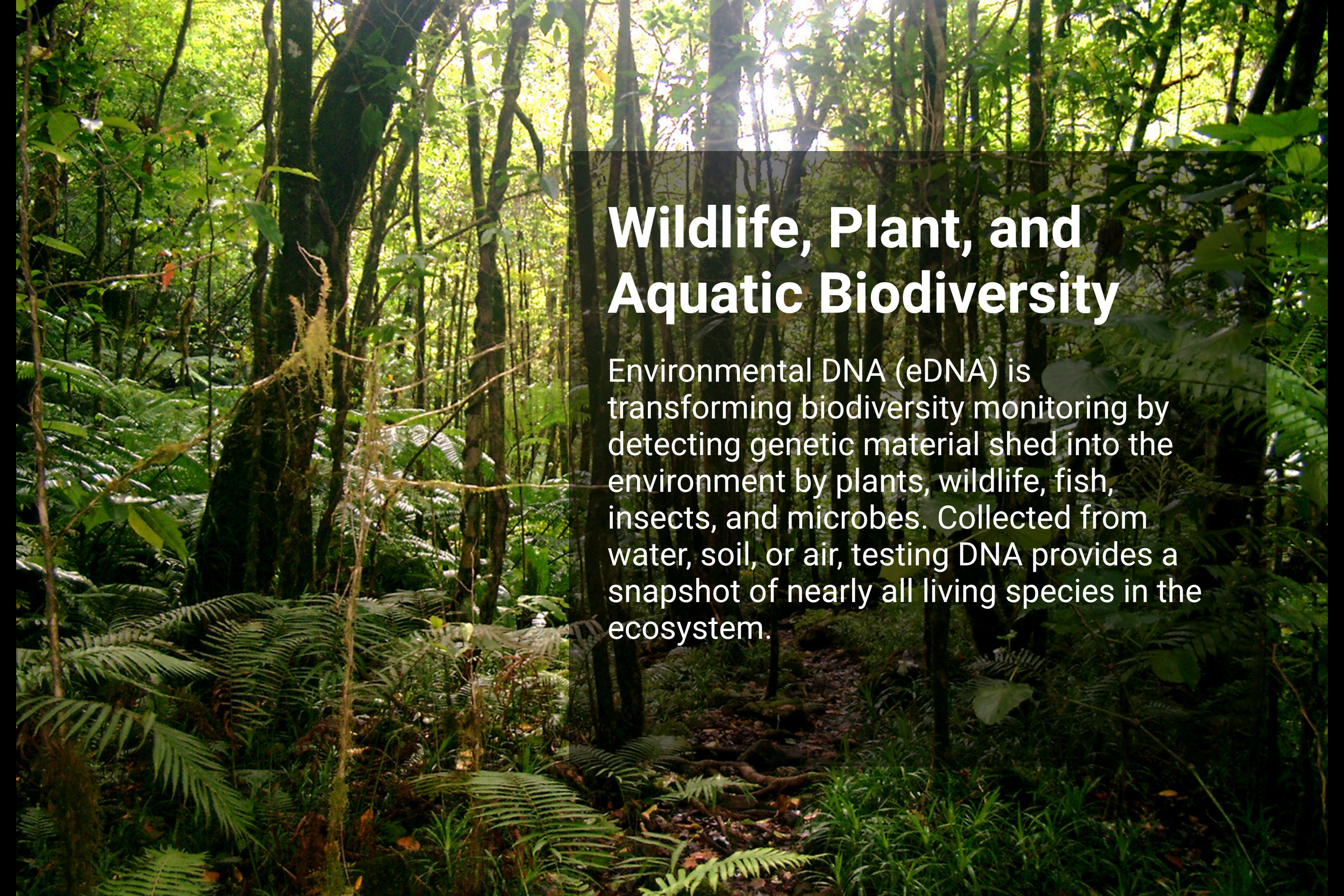Wildlife, Plant, and Aquatic Biodiversity