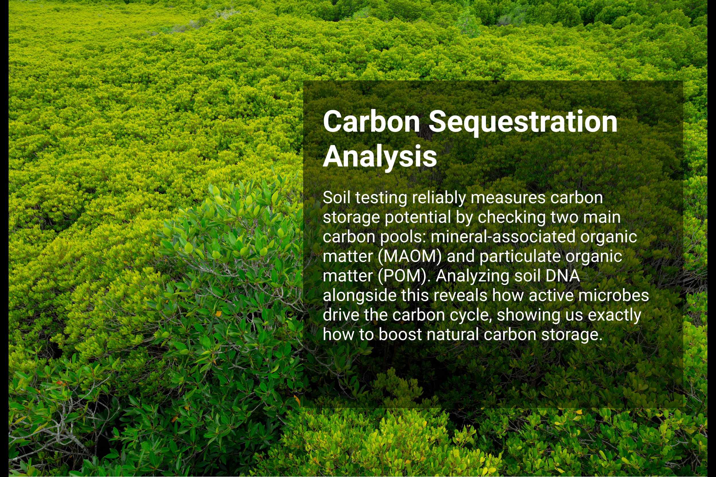 Carbon Sequestration Analysis