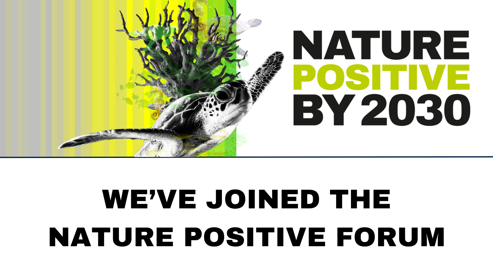 Koonkie Joins the Nature Positive Forum
