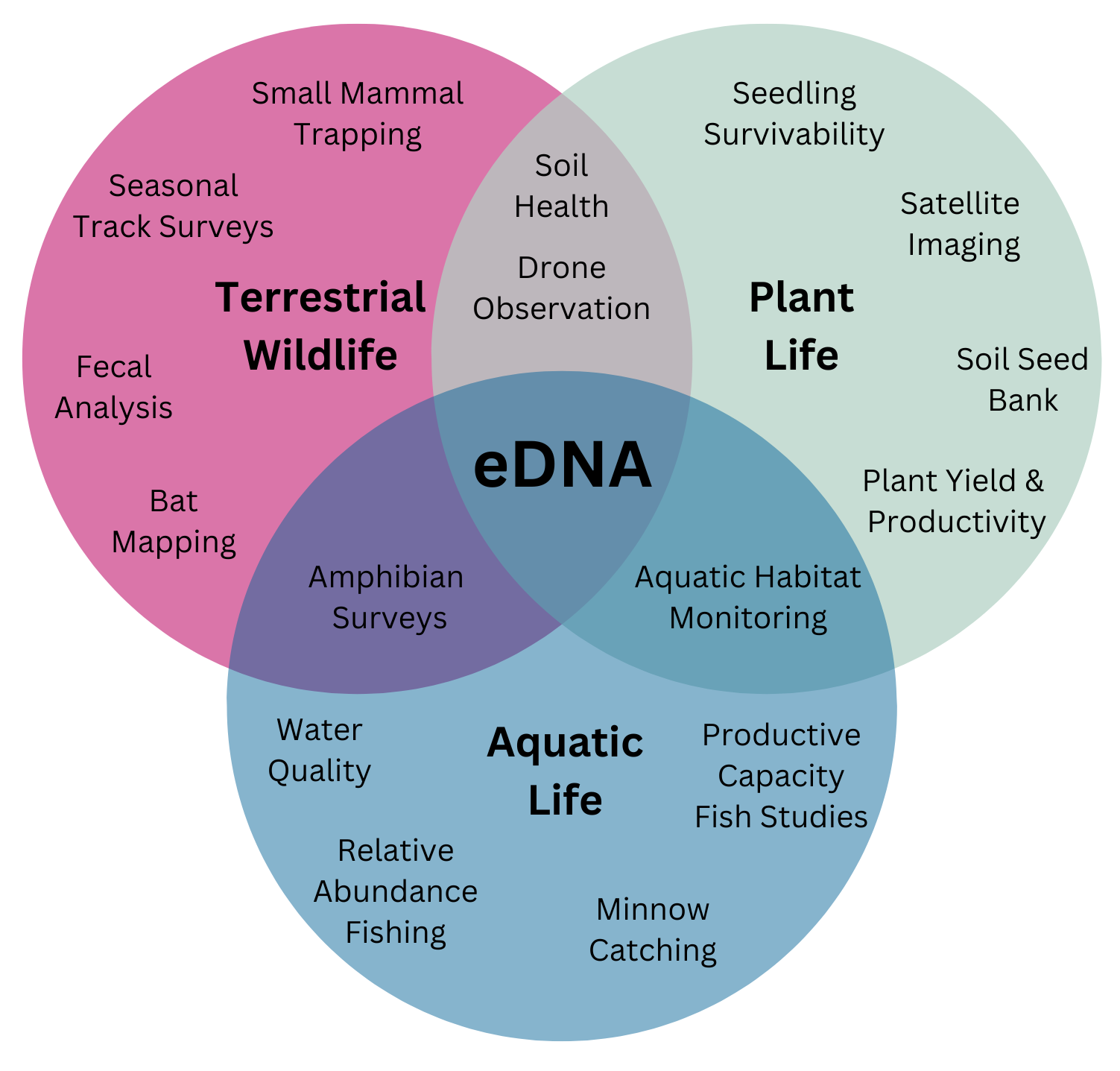 Environmental DNA (eDNA) for Biodiversity Assessments at Mine Sites ...