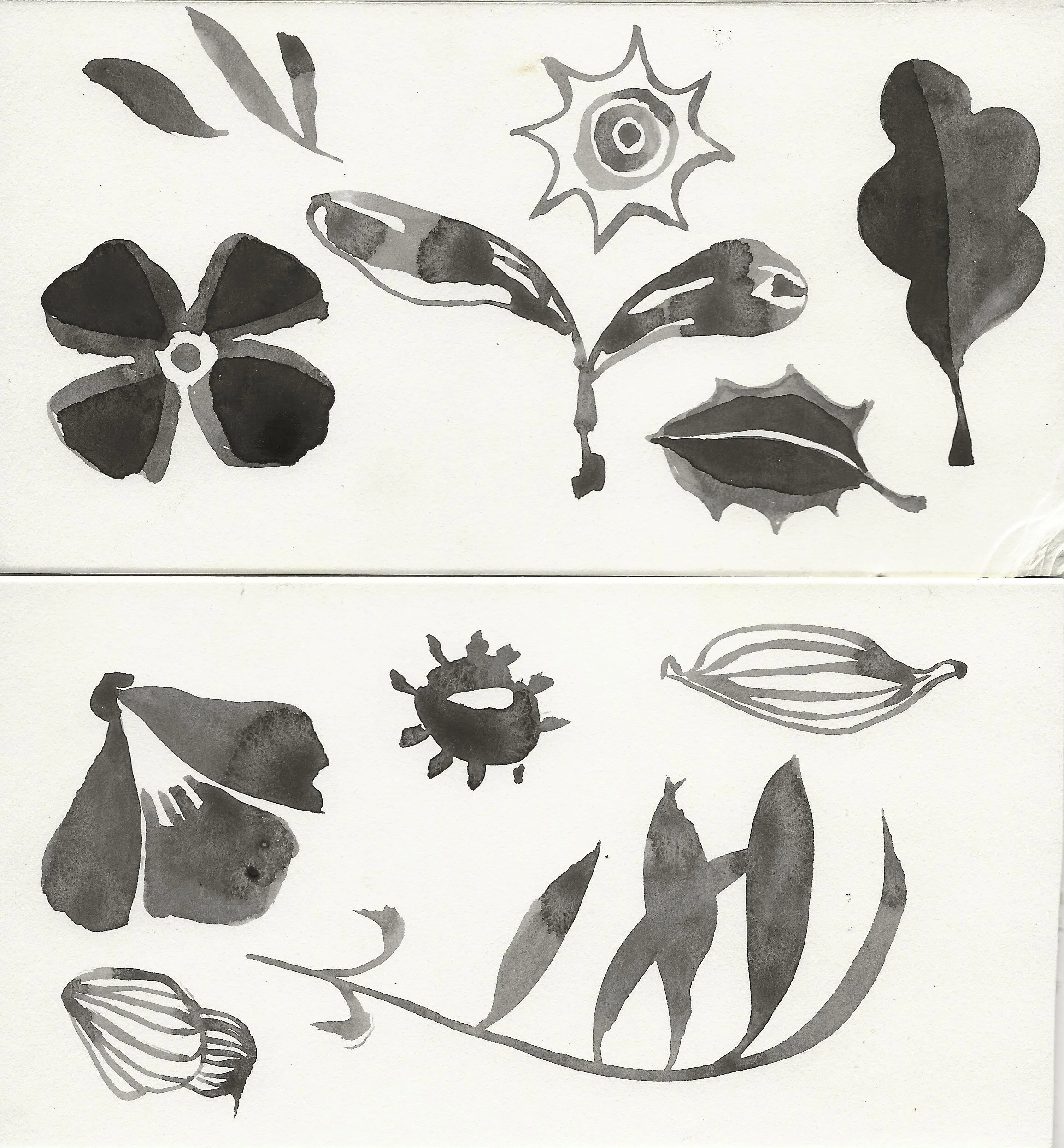 symbols2.jpeg