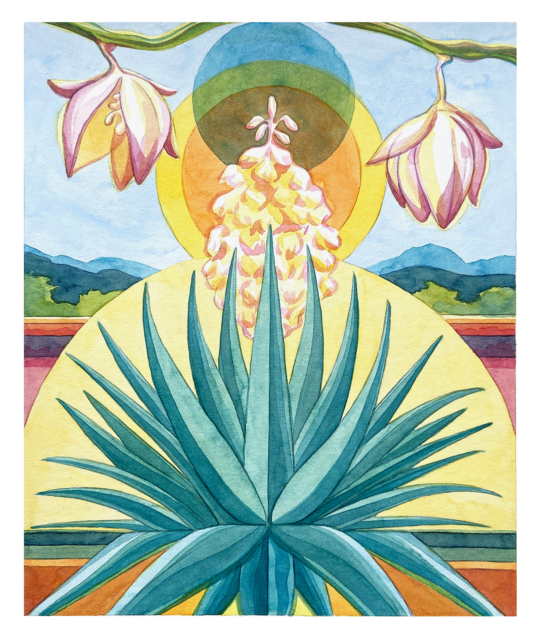   Yucca  . 10” x 12”. 2021 