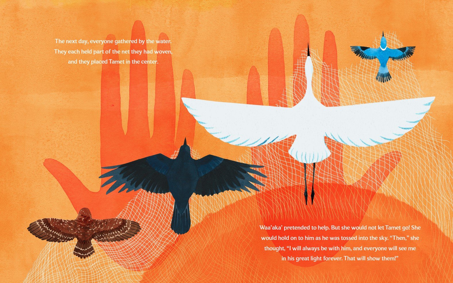 picture book waaaka bird illustration with text 04.jpg
