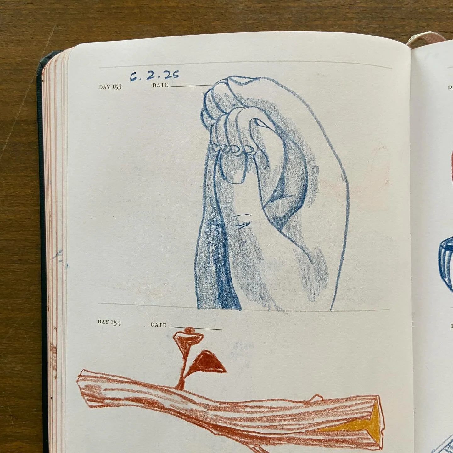 I began 2025 in a healing state, 6 weeks after giving birth to my daughter. I spent the rest of the months that passed riding the spectrum of emotions that met me in the adjustment to motherhood and art making. Through it all I made drawings. It has 