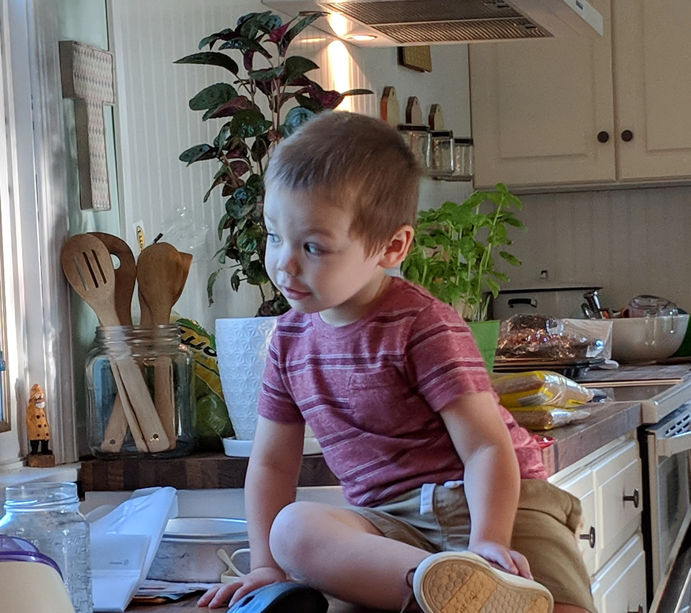 MVIMG_20180824_075920.jpg
