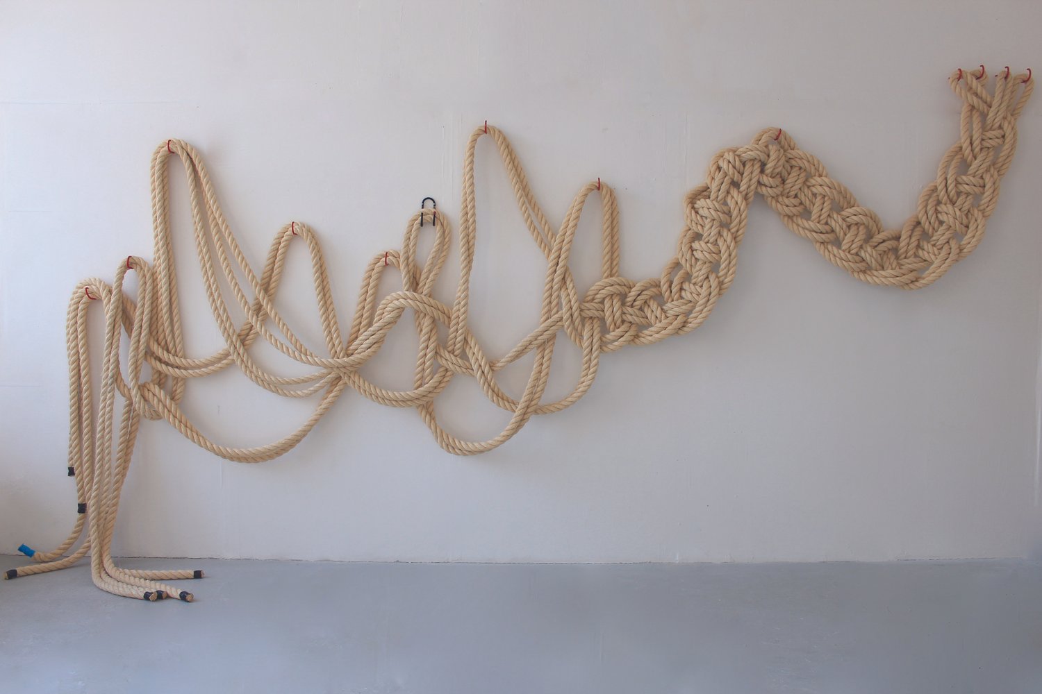 Rope Drawing Series — McKenzie Gibson