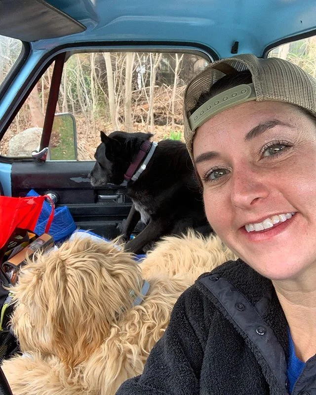 Just driving to work in Blue Betty with Ludo &amp; Willow. #shopdog #75chevy #mckenziegibson