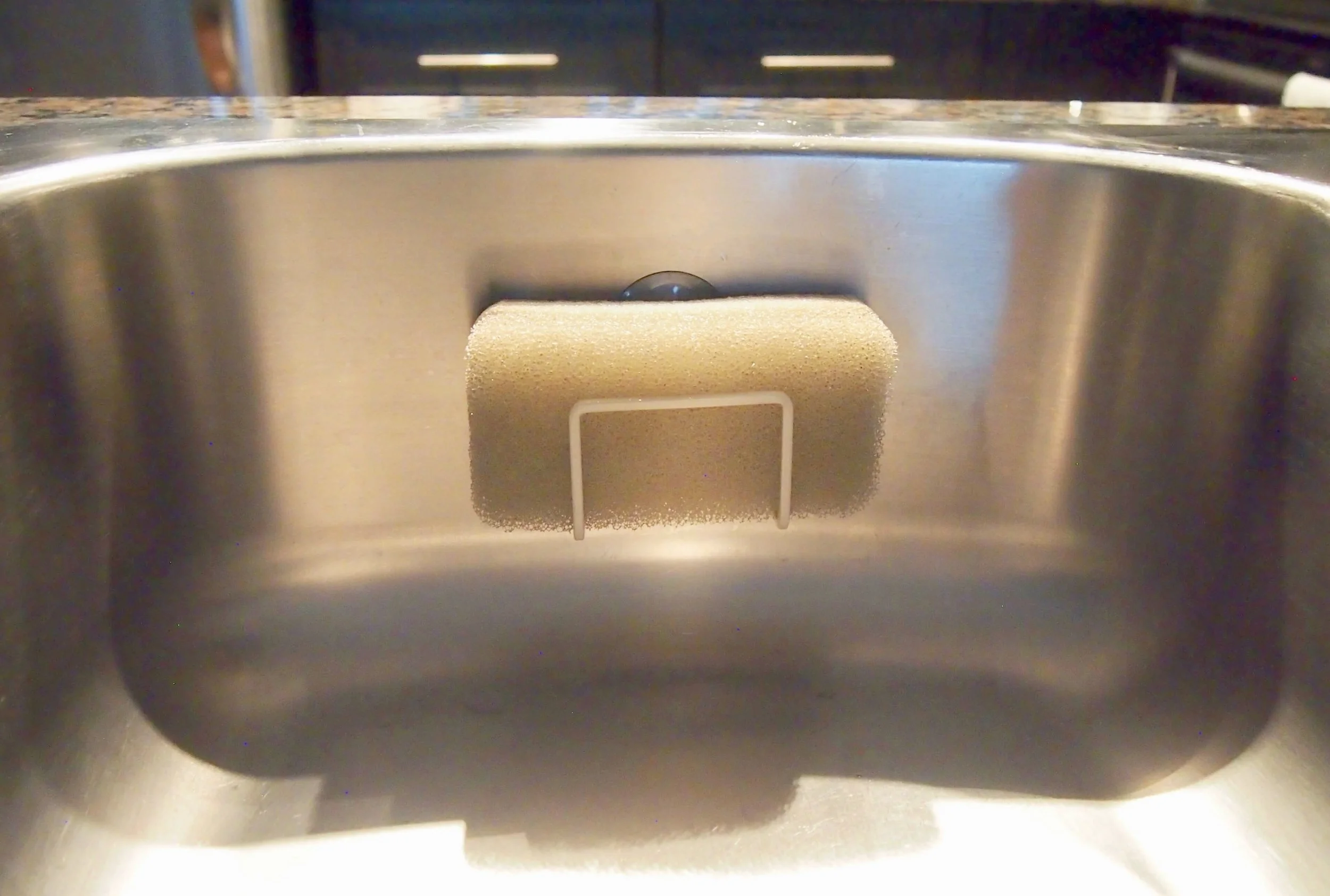 P5050021 (1).jpg