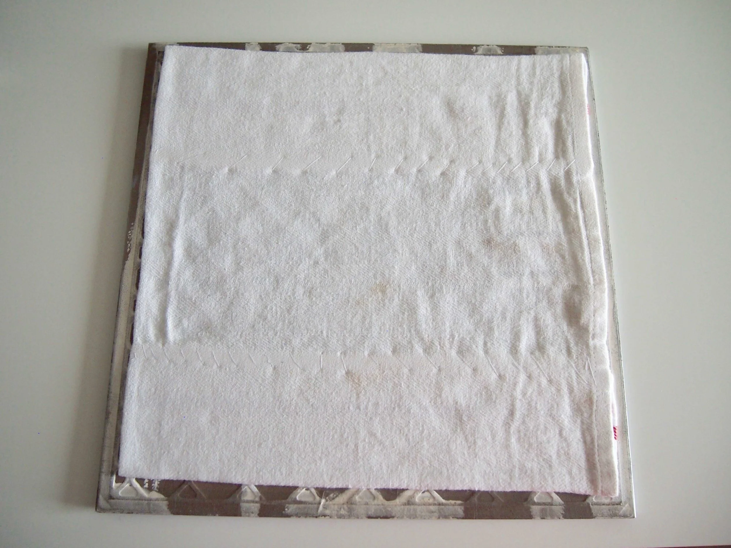 P9041925 (1).jpg
