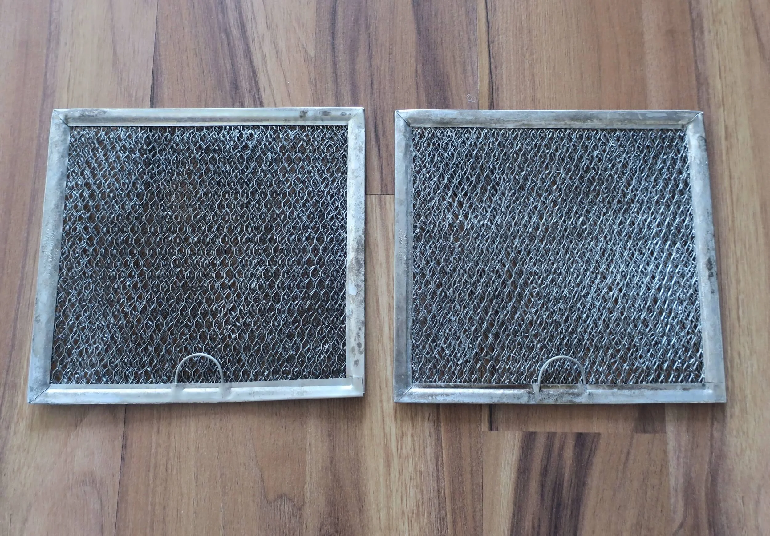 static1.squarespace-9.jpg