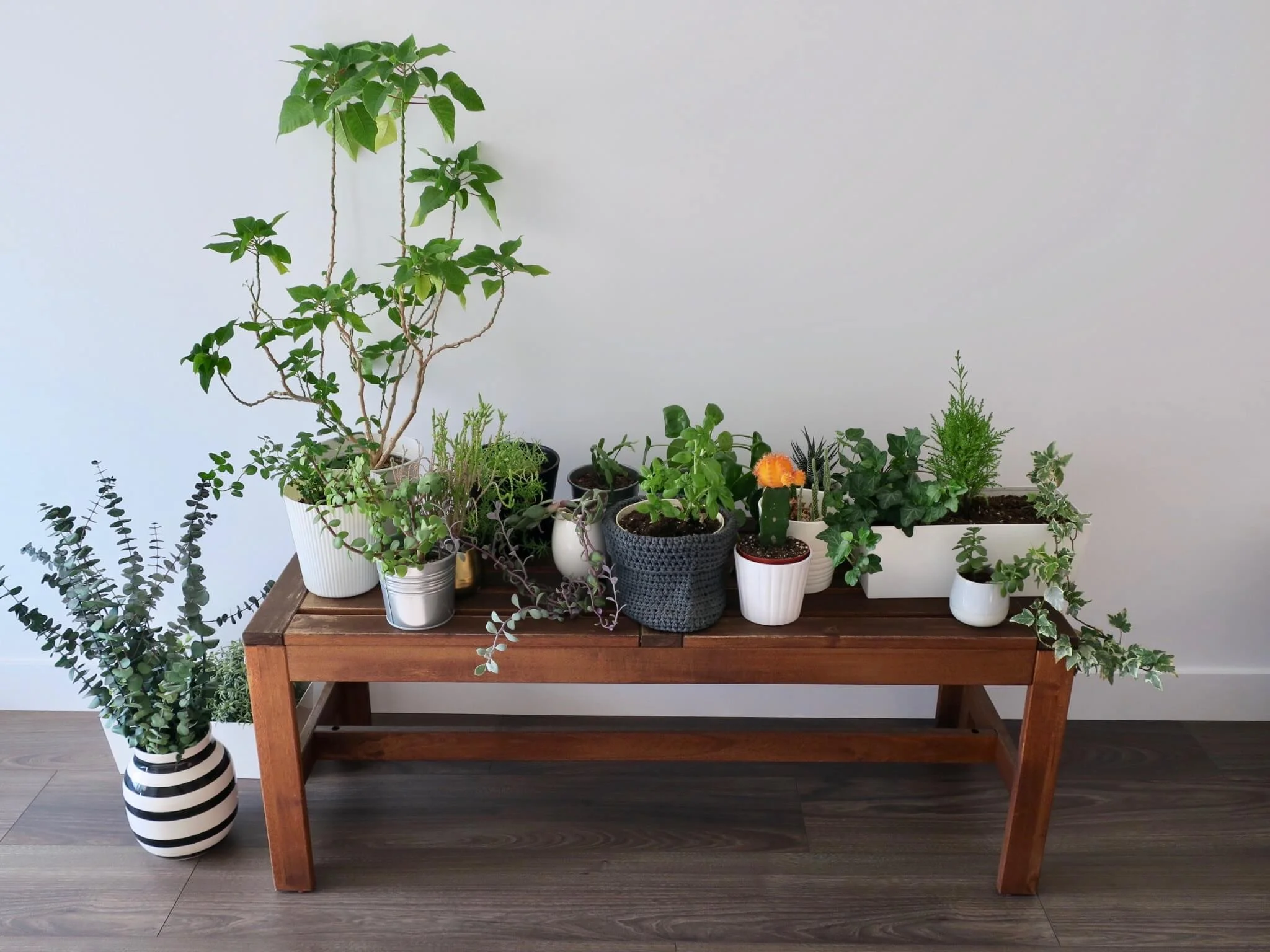 引越し初日。イケアのベンチを使ってリビングに(仮)癒しのインテリアグリーンコーナー完成。