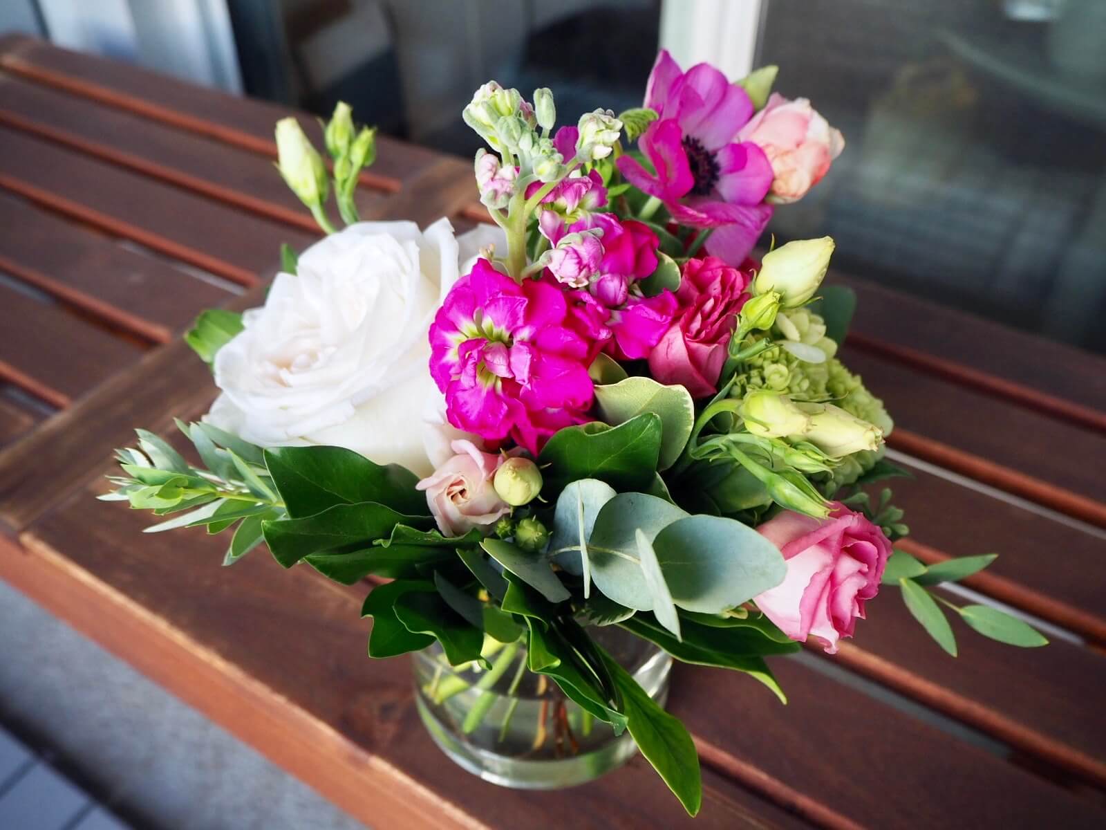 新しい家族が仲間入り。