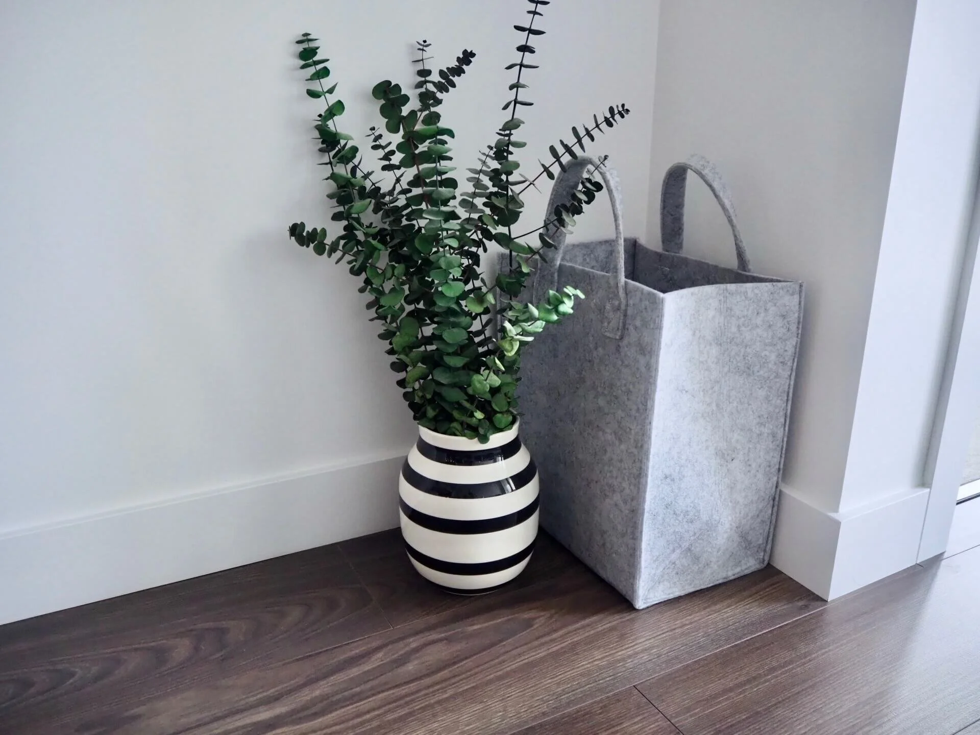 使い始めて３年目。やっぱり買ってよかったテスコムの毛玉クリーナー。