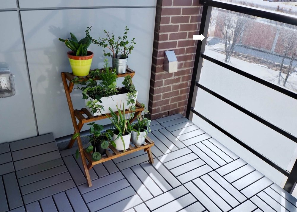 14日間の自宅待機中 観葉植物に癒されたり バルコニーで気分転換したり りすと私と暮らし