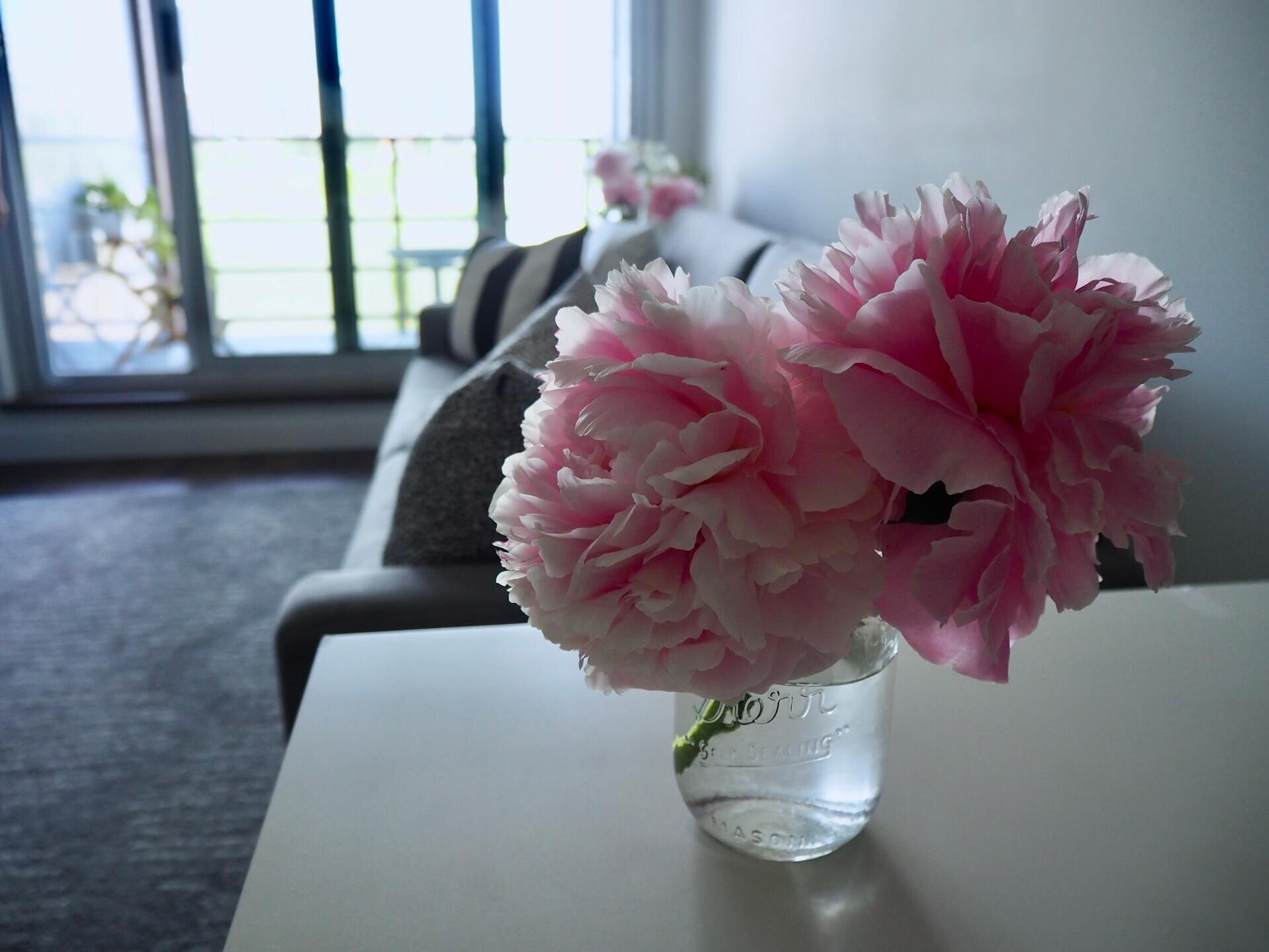 IMG_3743 (1).jpeg