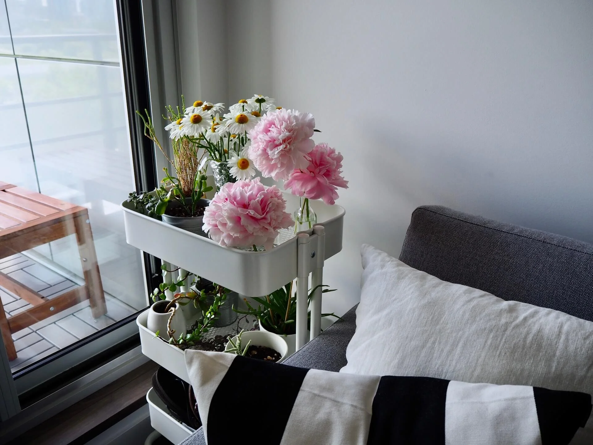 IMG_3845 (1).jpeg