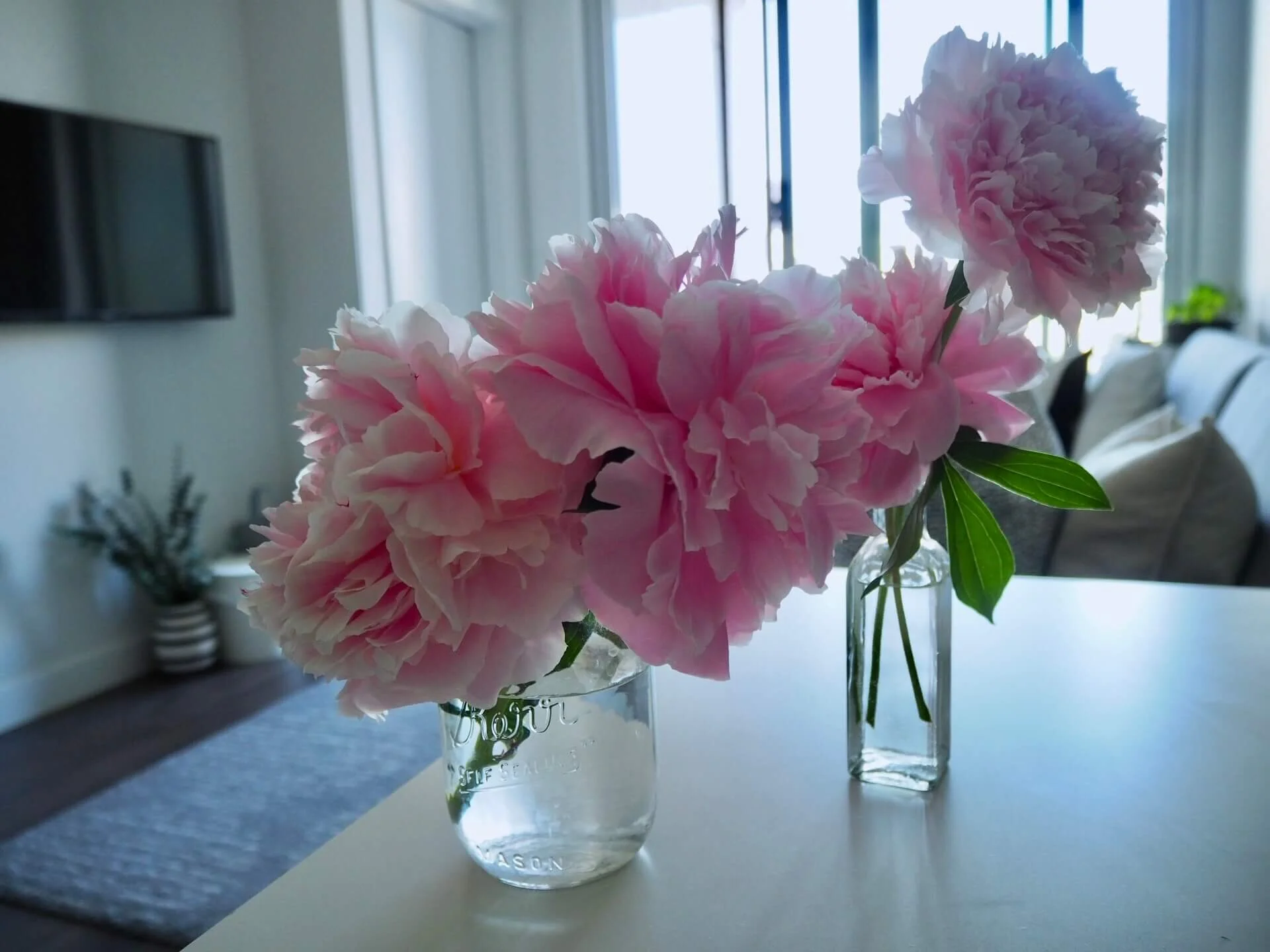 あなたは「鉢植え派？」「切り花派？」 お花のある暮らし。