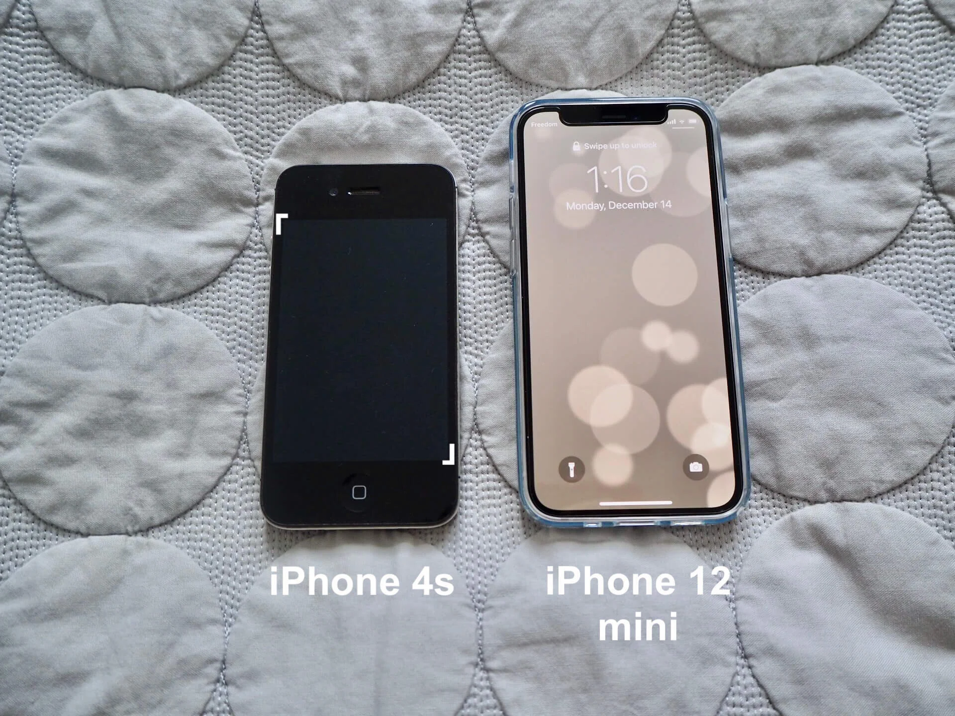 IMG_6548 (1).jpeg