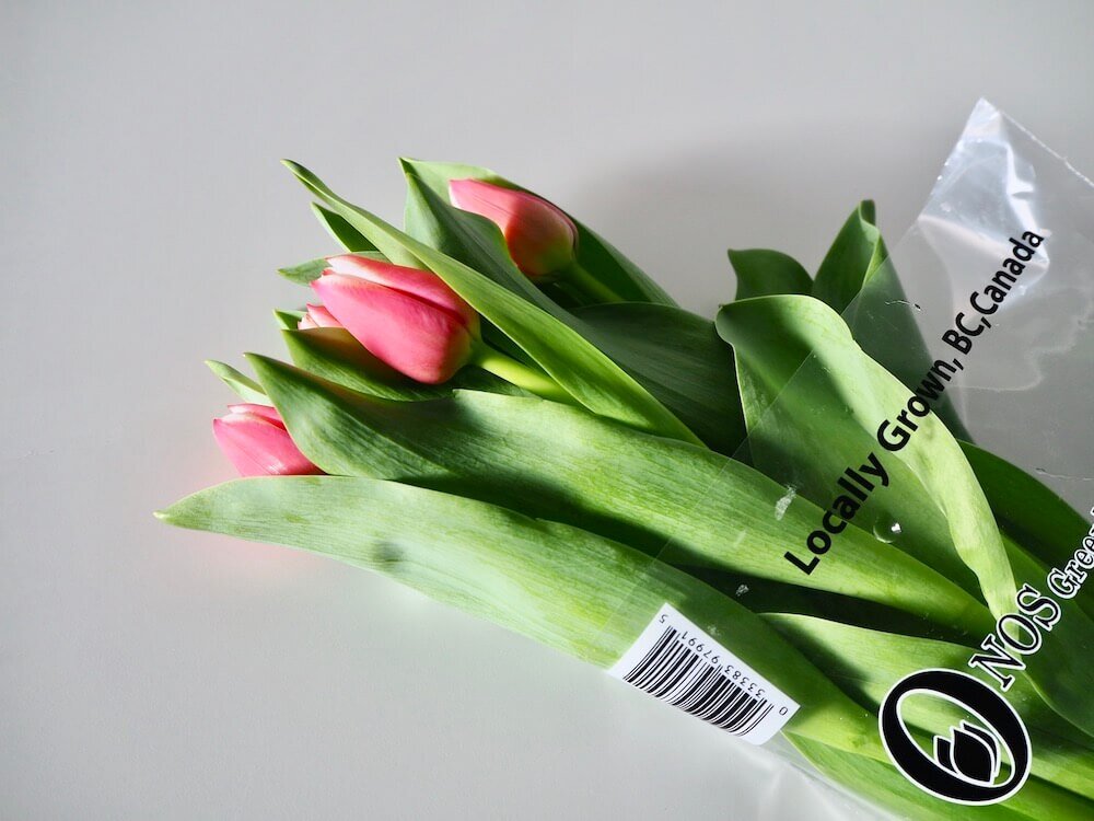 199円に見えない！IKEA春の新商品。おしゃれなガラス花瓶でチューリップを愛でる。