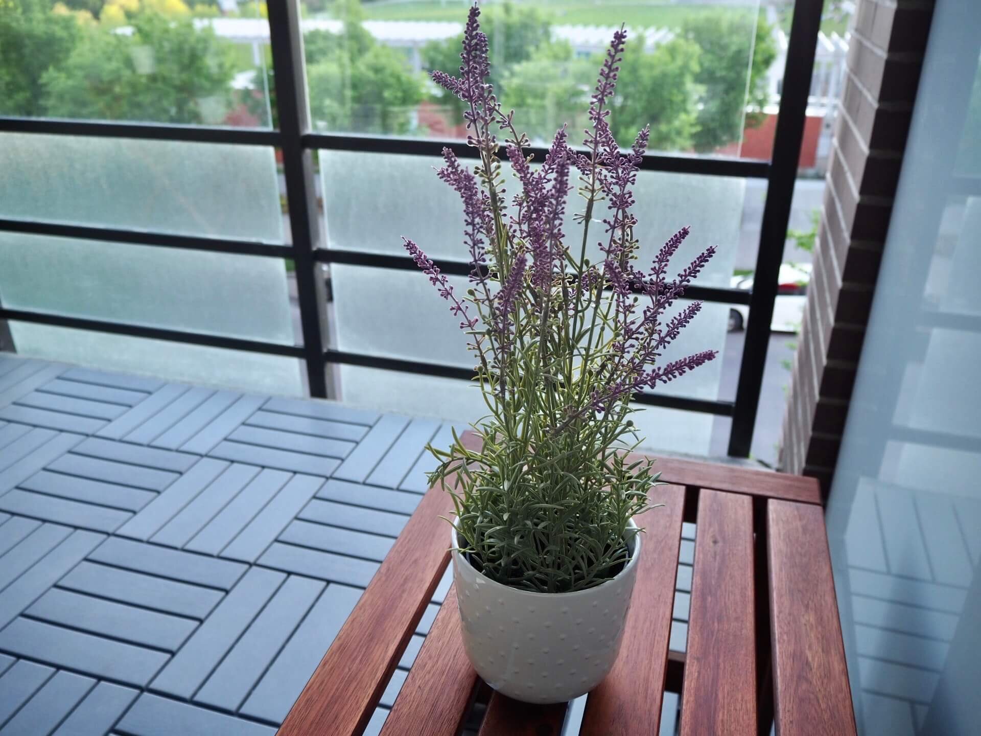 IKEAでラベンダーと新商品の鉢カバー購入。バルコニーに飾ってみた。