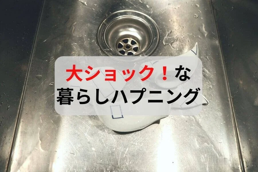 大ショック！子供がいると「あるよね」の暮らしハプニング。