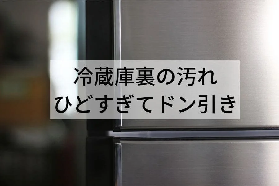 冷蔵庫裏のホコリがヤバすぎてドン引き。冷蔵庫動かして大掃除！