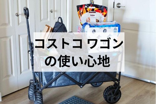 コストコのキャリーワゴンは便利？使ってわかったメリットと収納の悩み 