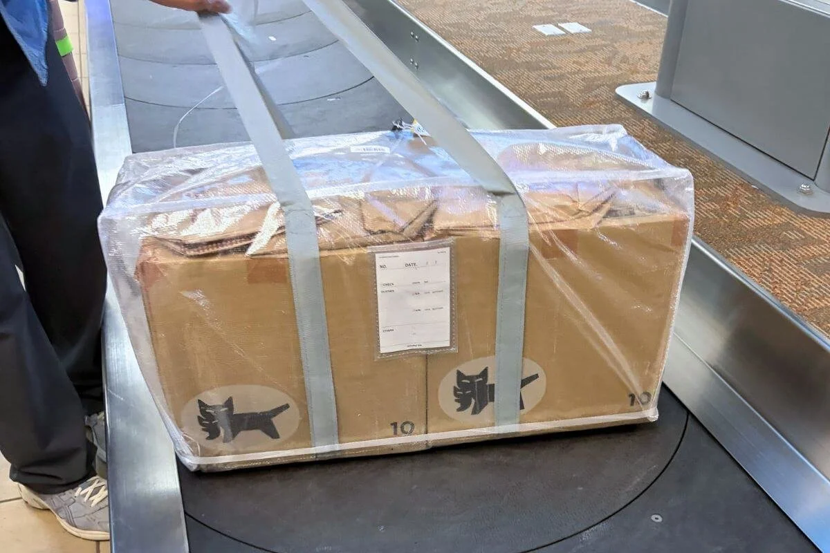 20kgでも無事？スリコのクリアバッグLLを国際線の預け荷物にしてみた