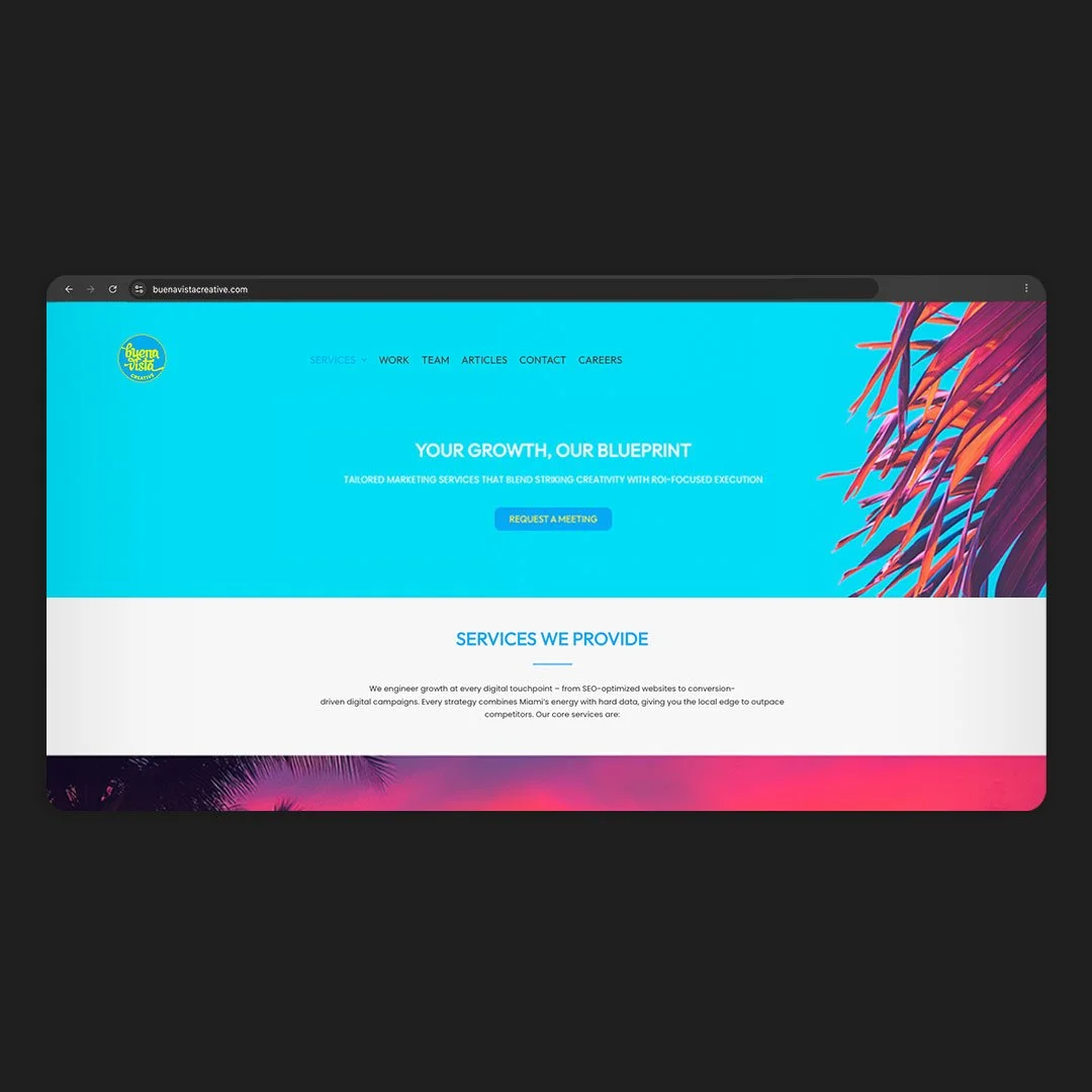 francisco-anduiza-jr-buena-vista-creative-web-design-thumbnail.jpg