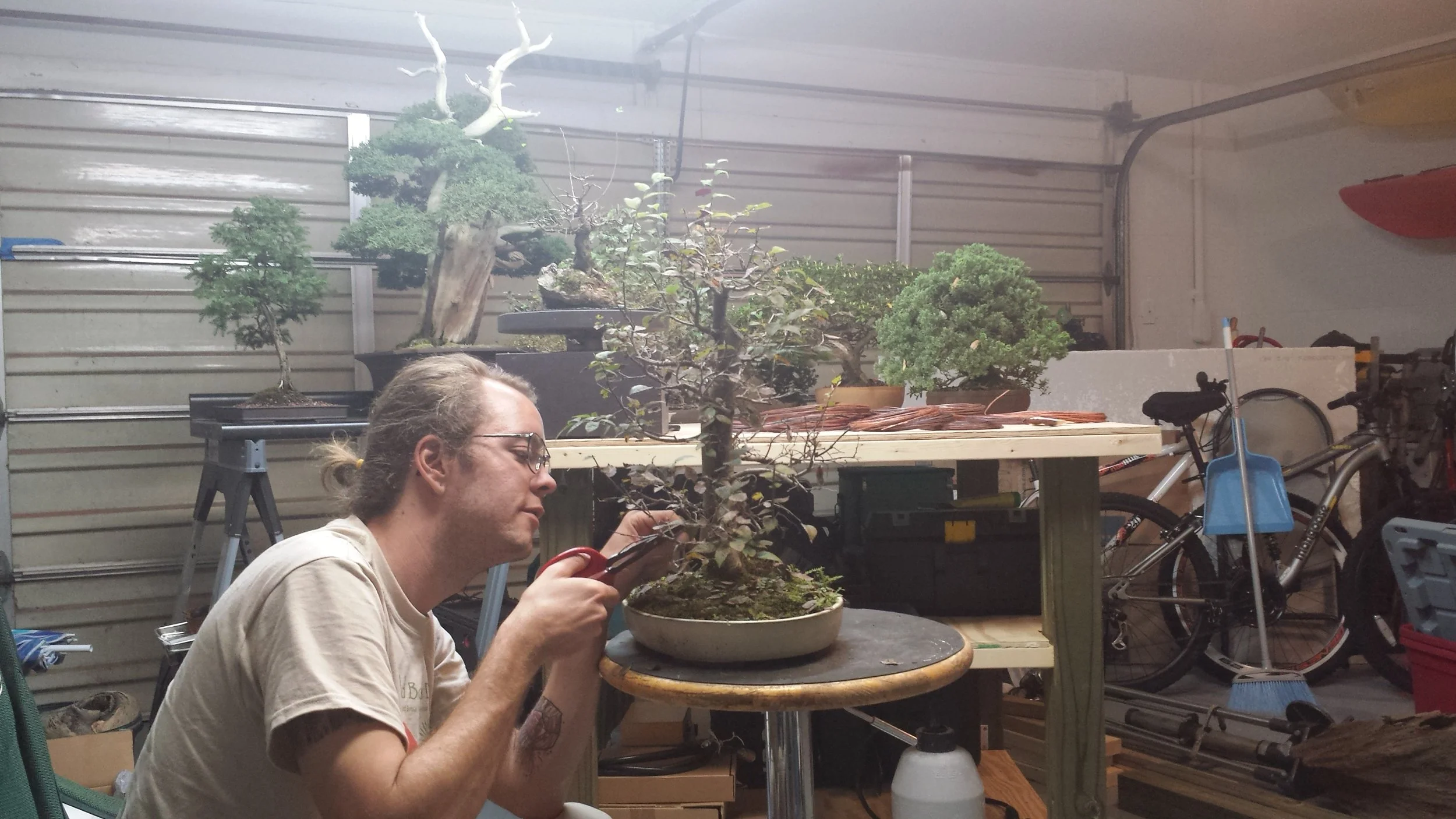 20151116_205209.jpg