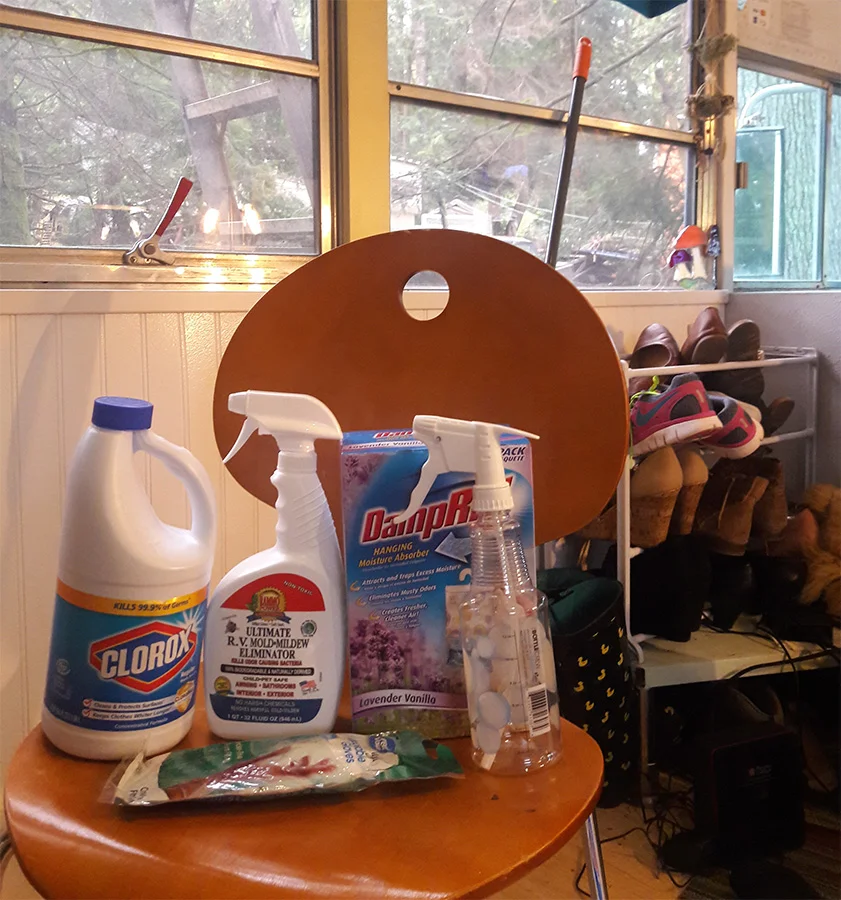 bleach-cleaning-sprays-skoolie-interior.jpg