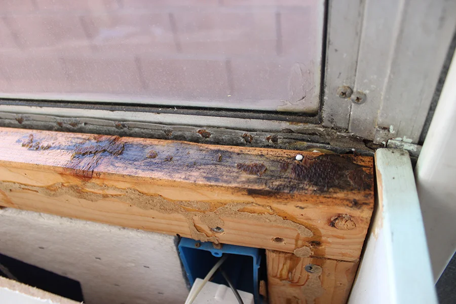 mold-issue-vapor-barrier-metal-sweat-skoolie.jpg