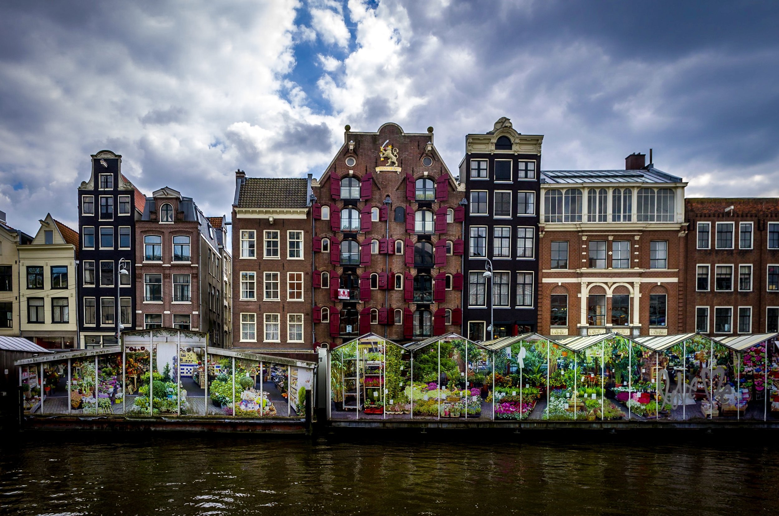This picture from a recent trip to the Amsterdam Flower Market, taken by my father-in-law, Wolfgang Ley , is perfect hanging from our high ceiling in the baby room. 