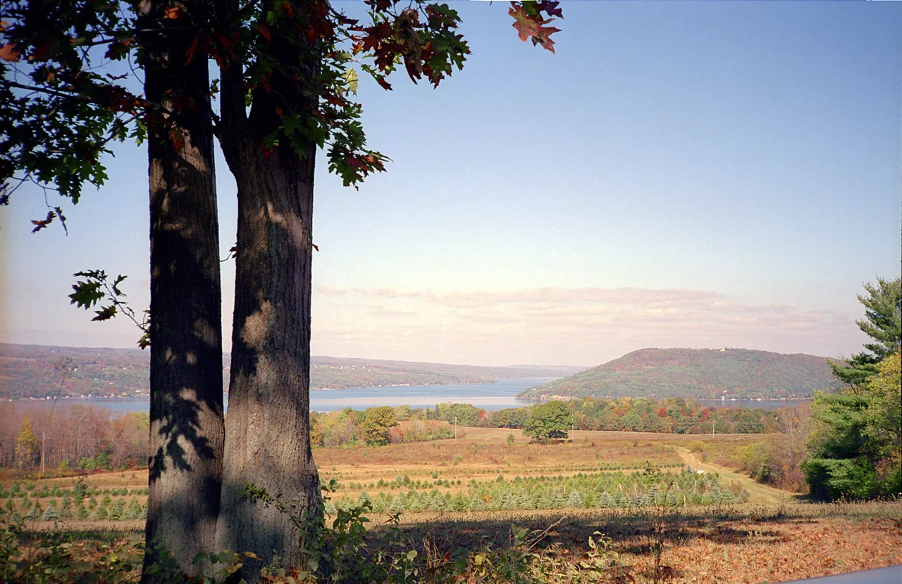 Autumn Vista at Wasson Farm.jpg