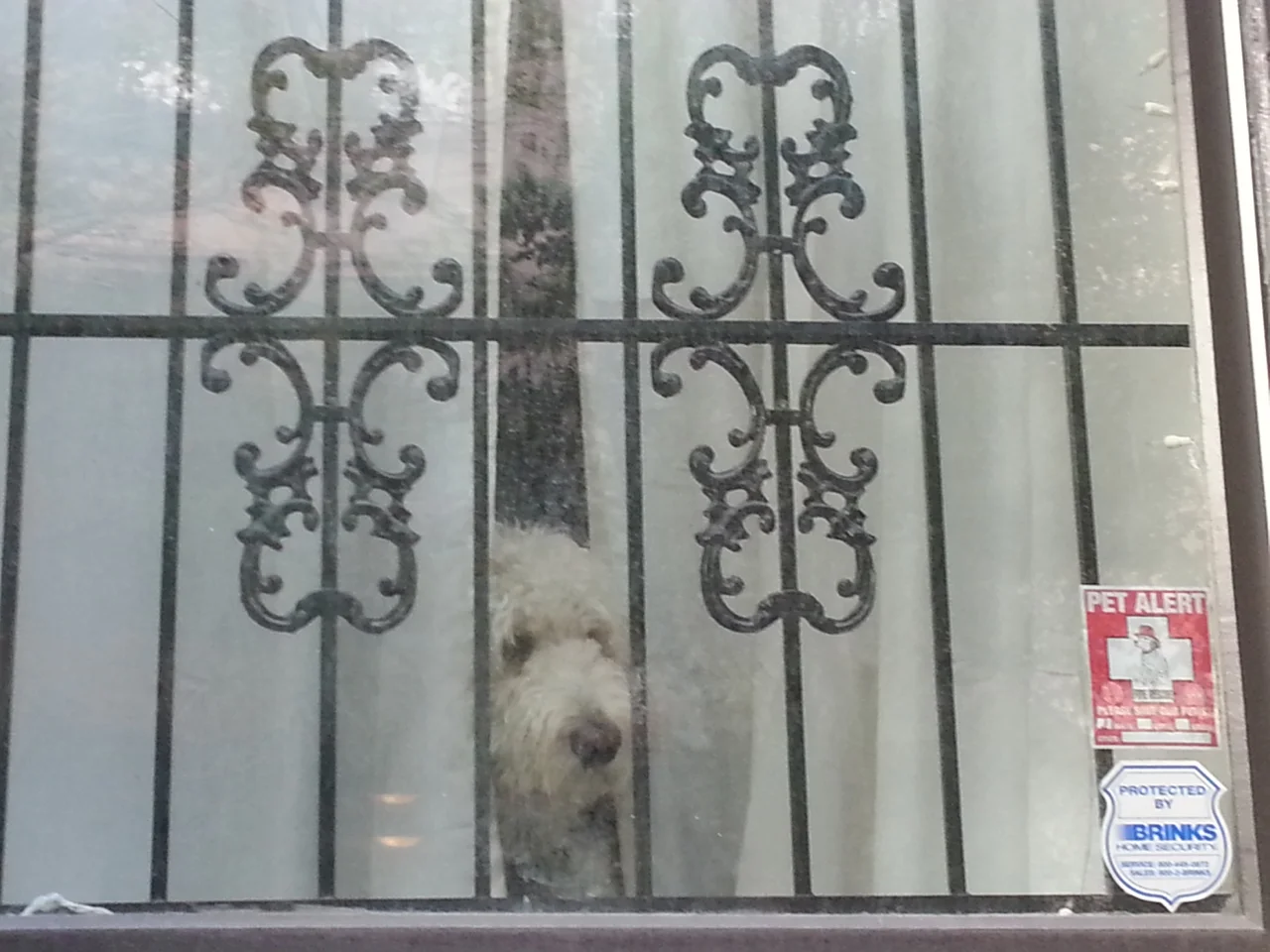 20140730_174839.jpg