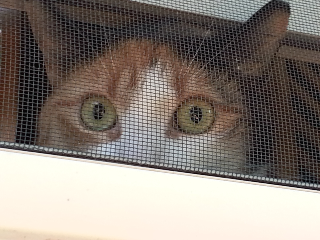 20140813_190513.jpg