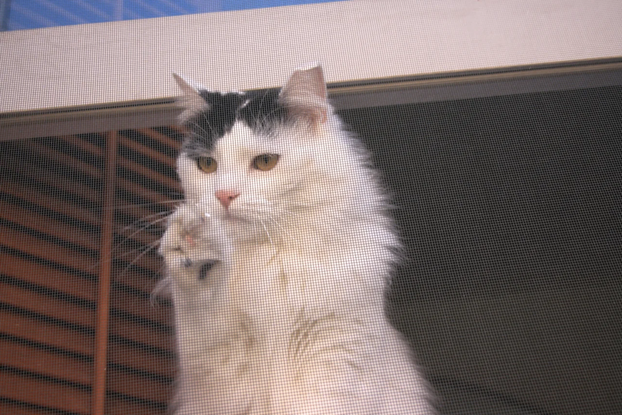 Claws-trophobia.jpg