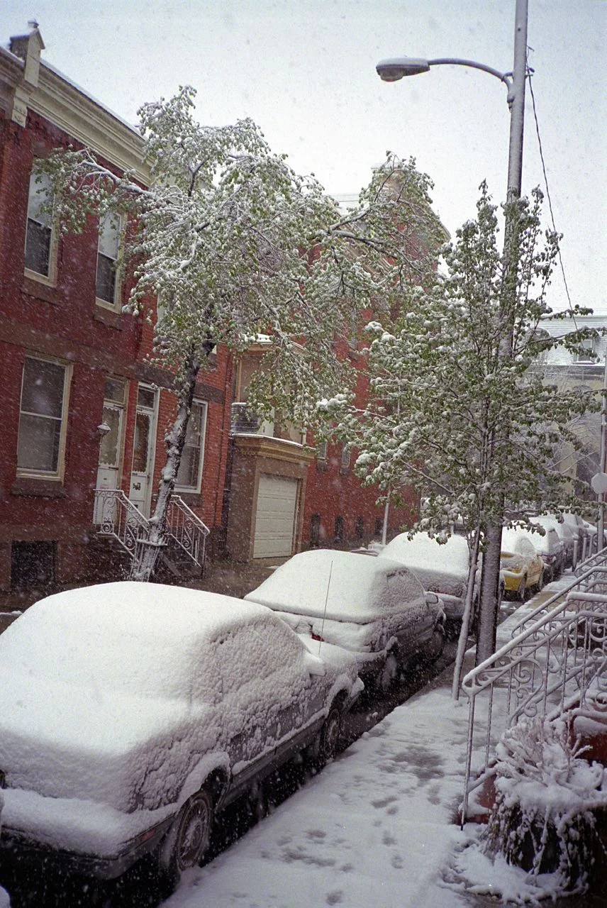 Early Spring Snow