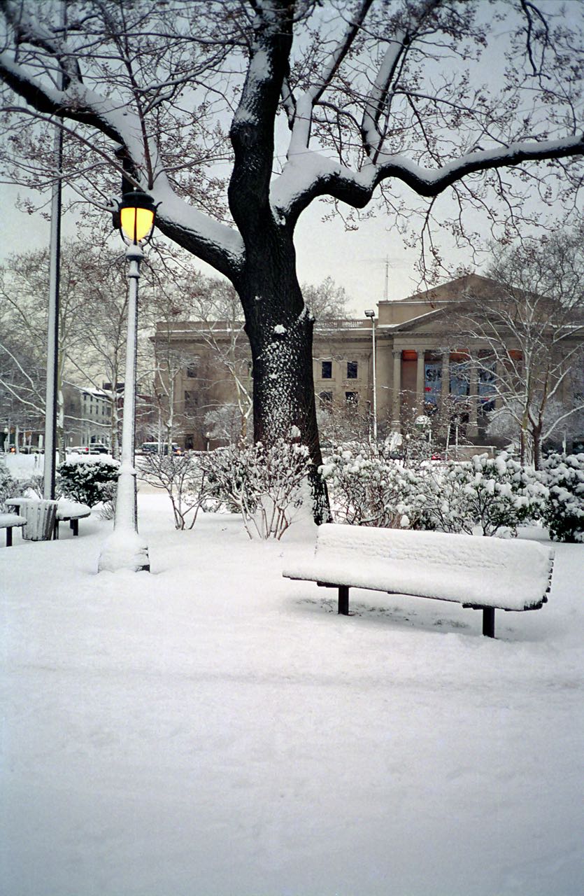 Snowy Lamp-Post and Bench