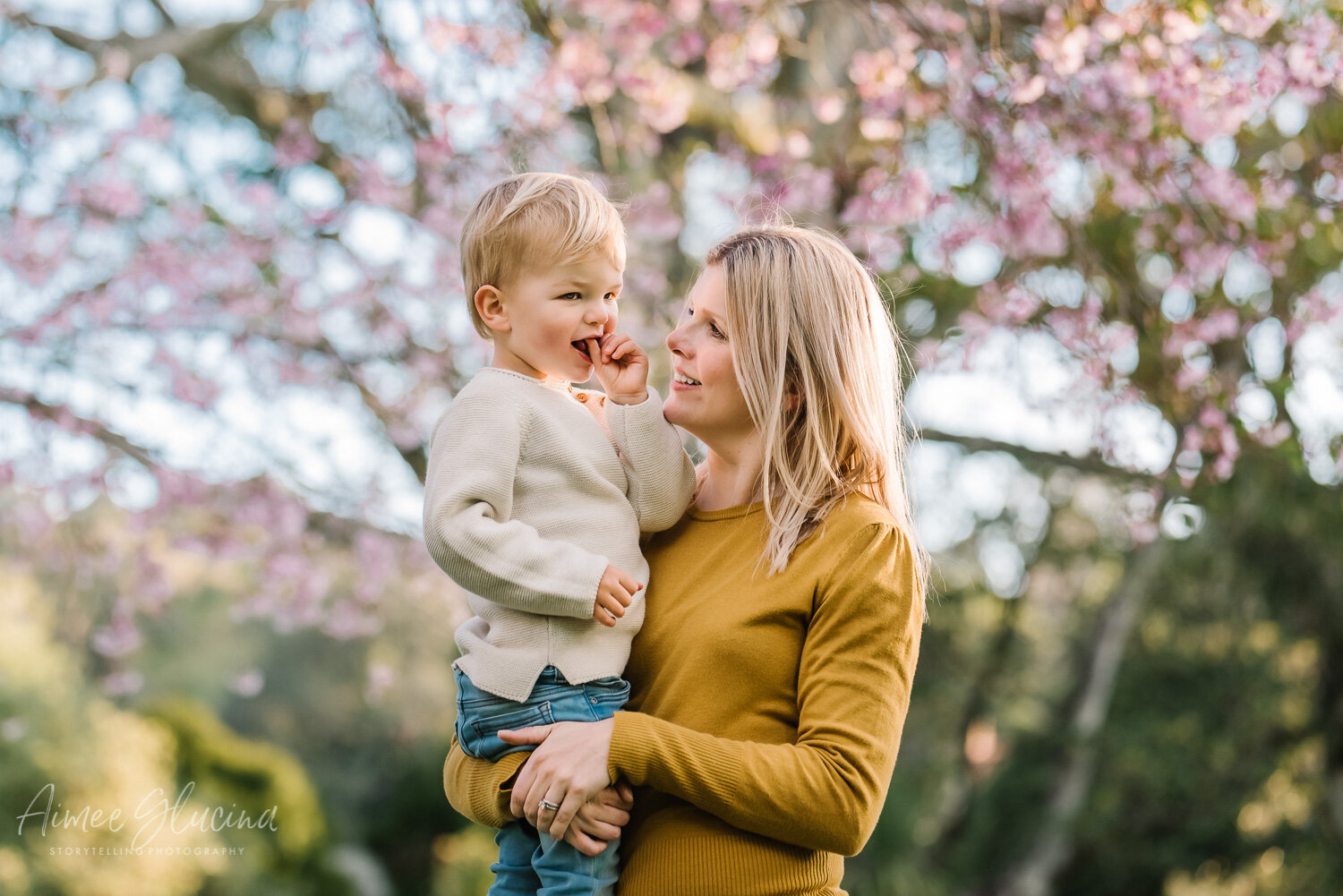 Golden Hour with Cherry Blossoms Aimee Glucina Family Photography_.jpg