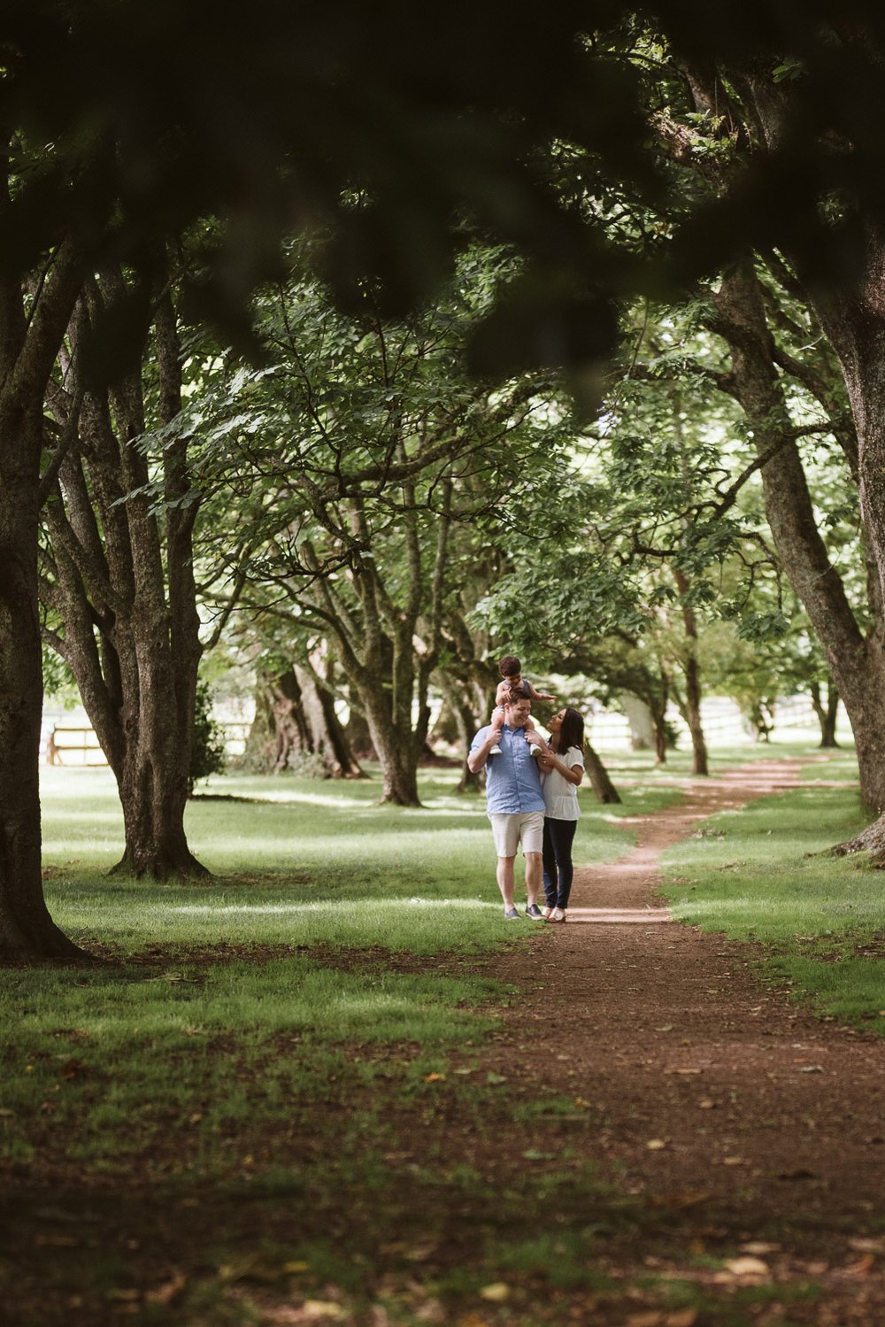 Family Photo Shoot Locations in Auckland - Cornwall Park trees_.jpg